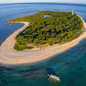 Apo Island Snorkeling Tour - Joiners