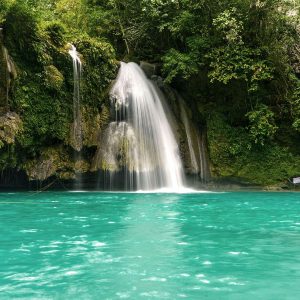 Whale Shark Watching + Kawasan Falls Day Tour pick-up and drop off Moalboal