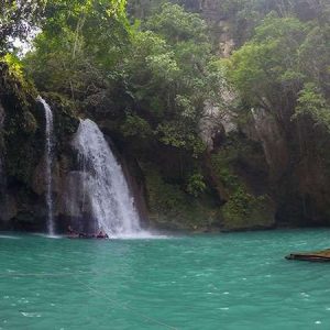 Whale Shark Watching + Sumilon Island Sandbar + Kawasan Falls Tour pick-up and drop off Talisay City