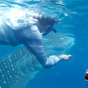 Oslob Round Trip Car Transfer (Not on the same day)