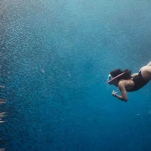 Alegria Canyoneering + Snorkeling with Sardine Run pick-up and drop off Cebu City