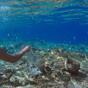 Panglao Island Hopping